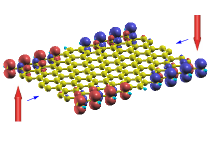 Dual spin filter effect in a zigzag graphene nanoribbon
